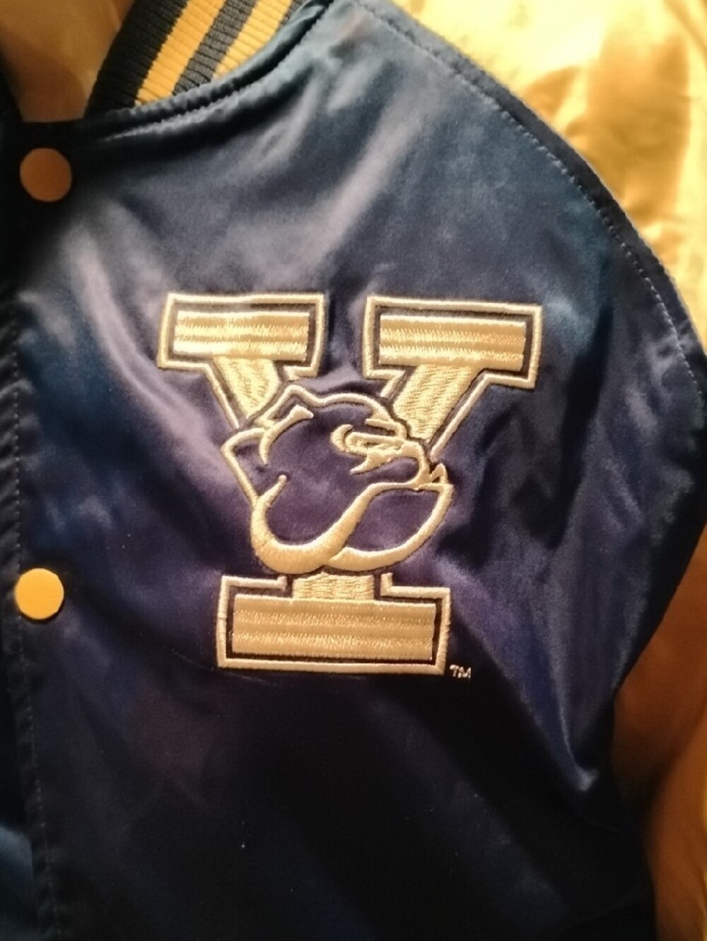 H&M Yale Blue and Cream Varsity Bomber Jacket - Picture 4 of 6